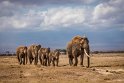 077 Amboseli Nationaal Park